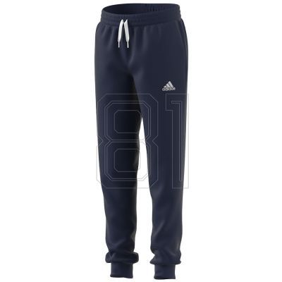Adidas Entrada 22 Sweat Panty Y Jr H57526 pants