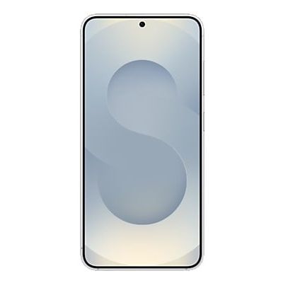 41. Samsung Galaxy S25 (S931) 5G DS 12/256GB Silber