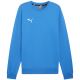 Puma Team Goal Casuals Rundhals-Sweatshirt M 658592 02