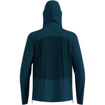 Herren-Regenjacke Odlo X-ALP WATERPROOF PRO Jacket grün