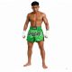 2. Herren-Thai-Shorts PASTEL GREEN V2 COMBATWEAR | DBX Bushido