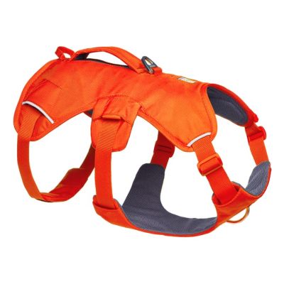 5. Ruffwear Web Master Harness – Leuchtorange, Größe: M