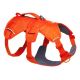 5. Ruffwear Web Master Harness – Leuchtorange, Größe: M