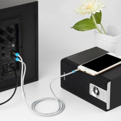 4. 3,5-mm-Klinkenstecker auf 2 Cinch-Stecker Audiokabel, 3 m, Schwarz