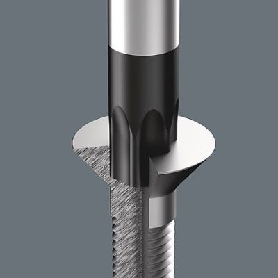 5. Schaumstoffeinsatz mit Schraubendrehern für Torx-Schrauben und -Bolzen, 14 Stück