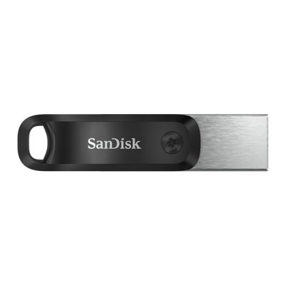 8. SanDisk iXpand GO SDIX60N-256G-GN6NE USB-Stick (256 GB; Lightning, USB 3.0; silber)