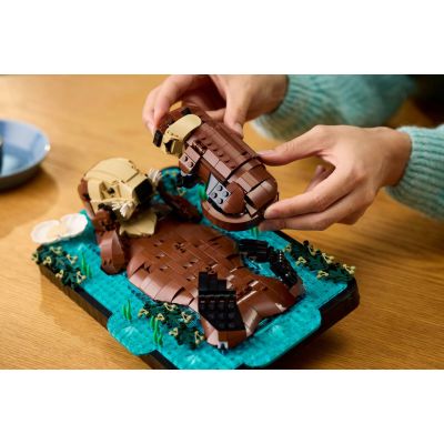 9. LEGO Ideas 21366 – Schwimmende Otter