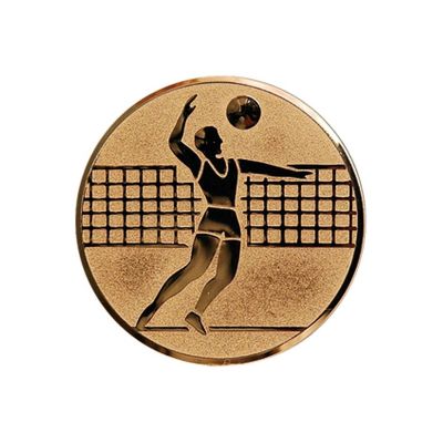 2. Bronzene Aluminiumeinlage – Volleyball Männer