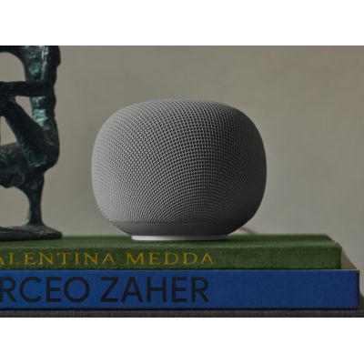 2. Google Home Grau