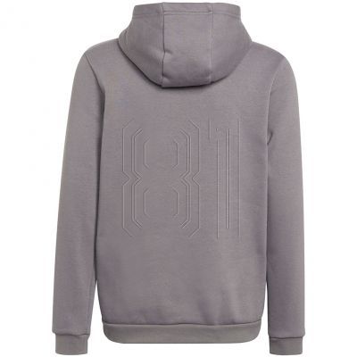 2. Sweatshirt adidas Entrada 22 Hoody Jr H57515