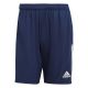 adidas Tiro 21 Training M GH4471 Shorts