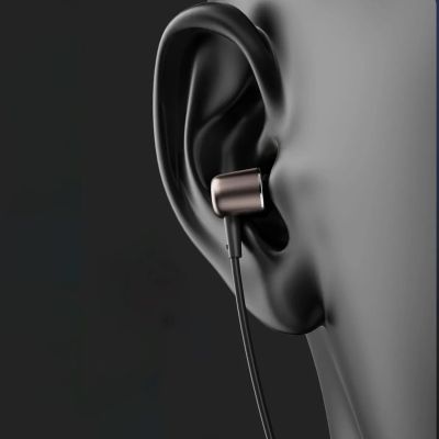 4. Dudao X1PROT In-Ear-Kopfhörer mit USB-C und Kabel, 1,2 m – Schwarz
