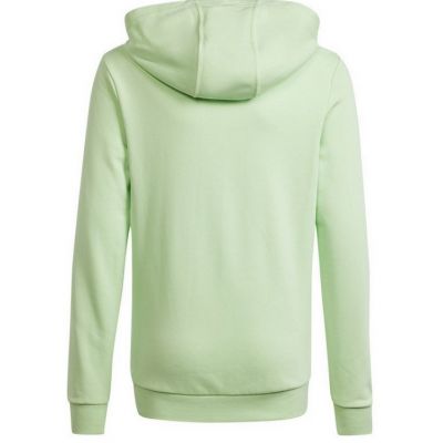2. Adidas Big Logo Hoodie Jr IS2591 Sweatshirt
