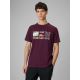 Herren-T-Shirt mit Aufdruck, regulär, Größe 4F 4FRSS26TTSHM3810-50S