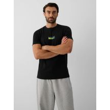Herren-T-Shirt mit Aufdruck, regulär, Größe 4F 4FRAW26TTSHM4665-20S