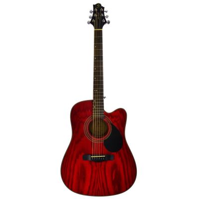 Samick D-4CE TR - elektroakustische Gitarre