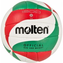Molten V4M1900 Volleyball