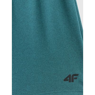 2. Schnelltrocknende Trainingsshorts für Herren 4F 4FWSS26TFSHM1277-41M
