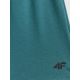 2. Schnelltrocknende Trainingsshorts für Herren 4F 4FWSS26TFSHM1277-41M