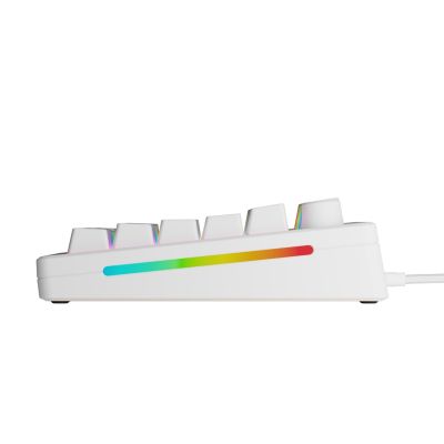 3. Glorious Gaming GMMK 3 HE 75% vorgefertigte USB-Tastatur QWERTY US-Englisch weiß