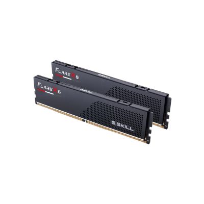 10. PC DDR5 96 GB 5600 CL40 G.Skill (2x48GB) 96-GX2-FX5 FLARE AMD