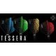 4. Harrows TESSERA Federn