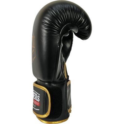 3. RPU-500 Boxhandschuhe