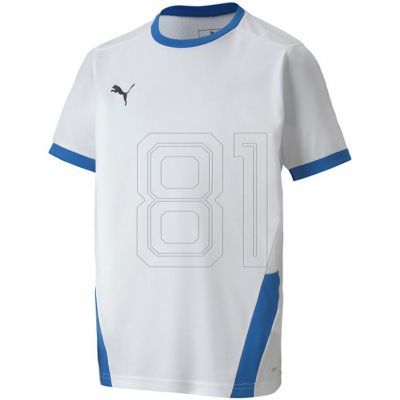 Puma teamGOAL 23 Trikot Jr 704160 12