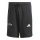 Adidas Mercedes DNA M JV5429 Shorts