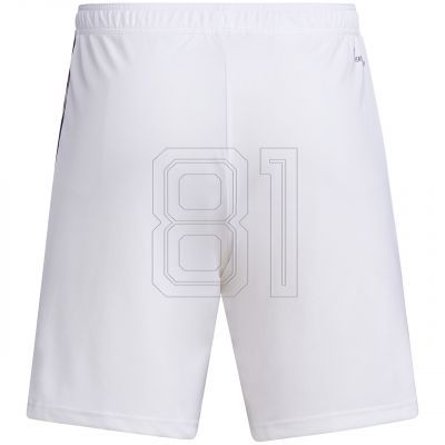 2. adidas Tiro 23 League M IB8083 Shorts