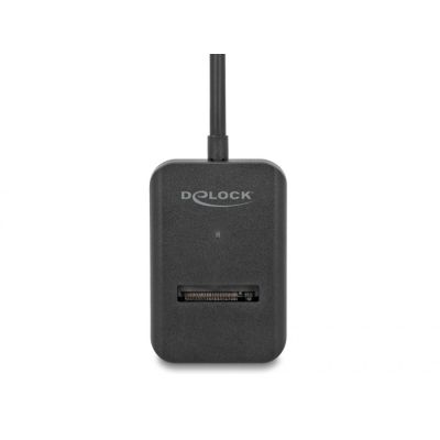2. DeLOCK Multifunktionaler M.2 NVMe PCIe- oder SATA-SSD-Konverter mit USB Typ-C 10 Gbit/s
