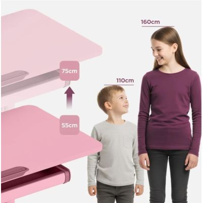 5. Schreibtisch Study 5.0 Pink