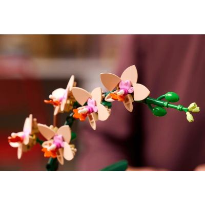 7. LEGO Botanische Kollektion 10343 - Kleine Orchidee