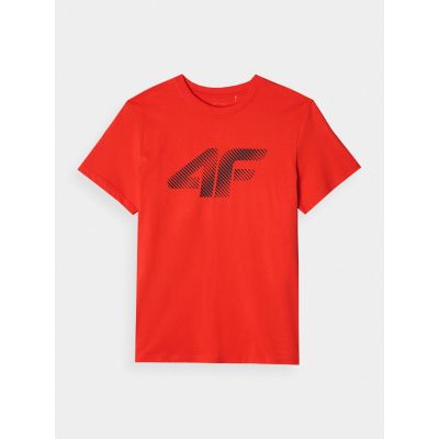 5. Herren-T-Shirt 4F 4FWMM00TTSHM2257-62S