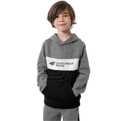 3. Sweatshirt 4F Jr HJZ22 JBLM003 24M
