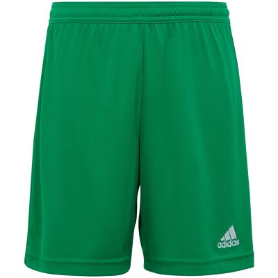 13. adidas Entrada 22 Jr IC7410 Shorts