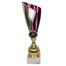 Triumph Cup 1936