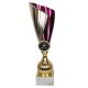 Triumph Cup 1936