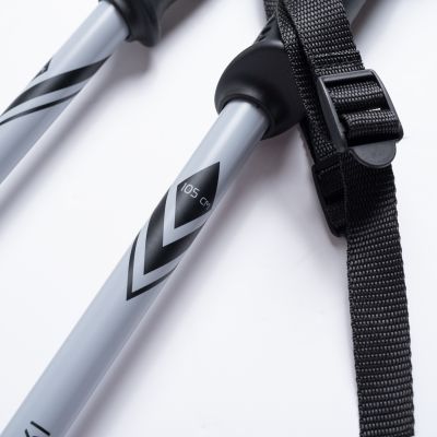 5. ALPINE SKI II Stöcke