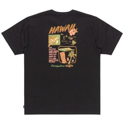 2. Billabong Dreamy Place Tee EBYZT00294-BLK Schwarz M