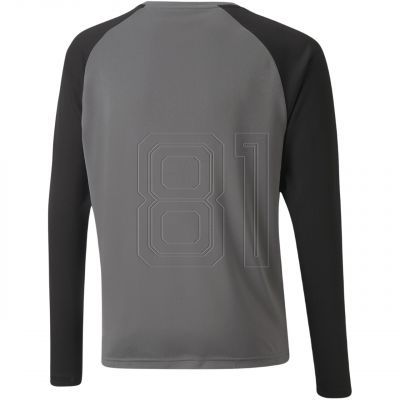 2. Puma teamPacer GK LS Trikot Jr 704939 43