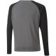 2. Puma teamPacer GK LS Trikot Jr 704939 43