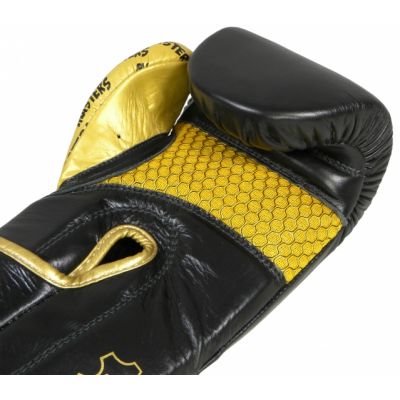 8. Masters Rbt-Professional Boxhandschuhe 01101-10