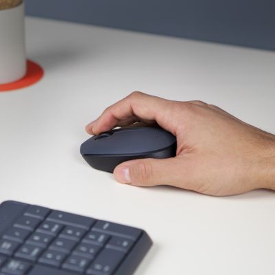 3. Logitech M170 Maus 910-004642 (optisch; 1000 DPI; grau; )