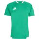 2. adidas Tiro 26 Wettkampftrikot für Herren, grün, KA6235