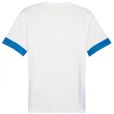 2. Puma teamGoal Spieltagstrikot M 705747 12