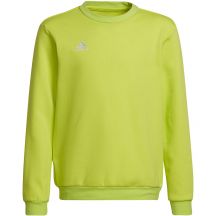 Adidas Entrada 22 Sweat Top Jr HC5043 Sweatshirt