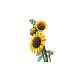 21. LEGO Botanische Kollektion 11502 – Sonnenblumenstrauß