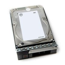 DELL 161-BCJX Festplatte 12 TB 7200 U/min 3,5" NL-SAS