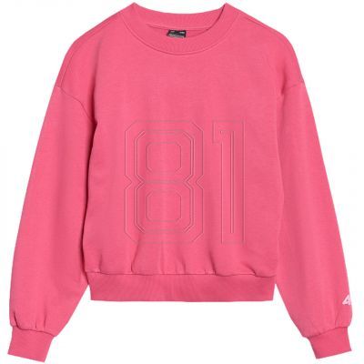 5. Sweatshirt 4F F1479 Jr 4FJWSS25TSWSF1479 54S